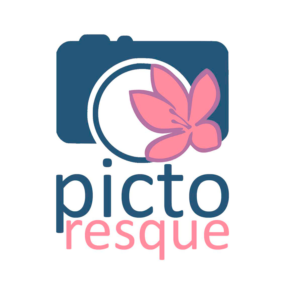 Logo Pictoresque